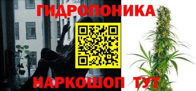 стафф Будённовск