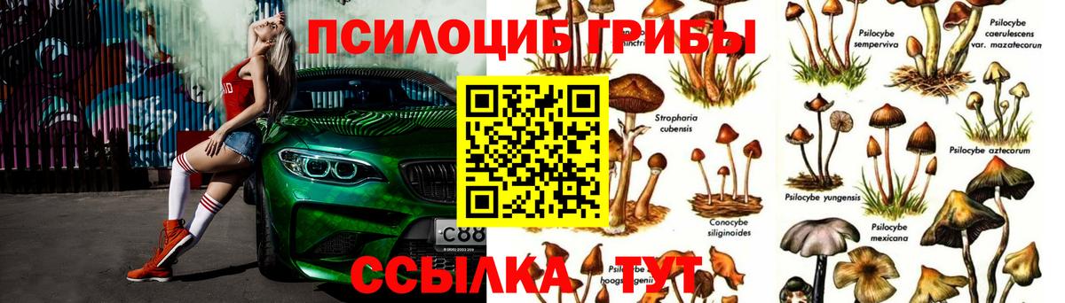 Галлюциногенные грибы MAGIC MUSHROOMS Саранск